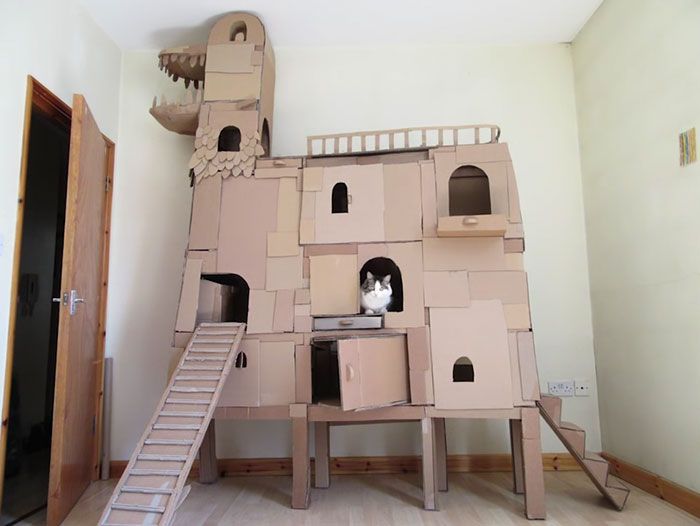 Картонный замок для любимой кошки (5 фото)