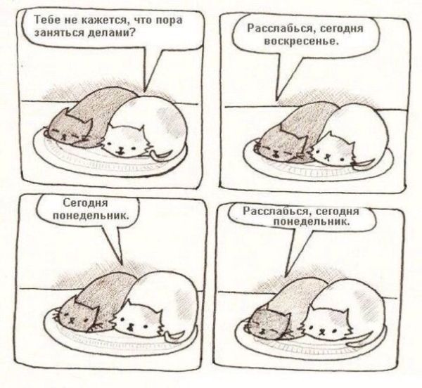 Смешные комиксы (20 картинок)