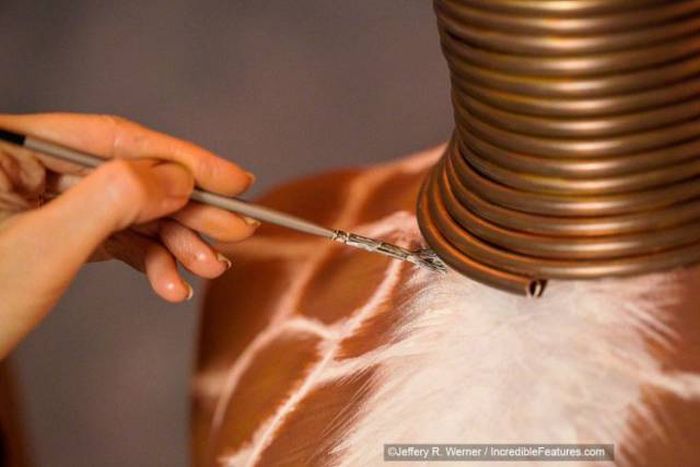 Женщина удлинила шею с помощью медных колец (25 фото)