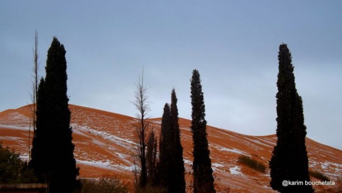 В пустыне Сахара выпал снег (9 фото)