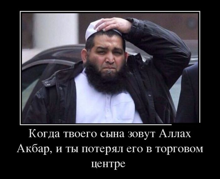 Демотиваторы (30 фото)