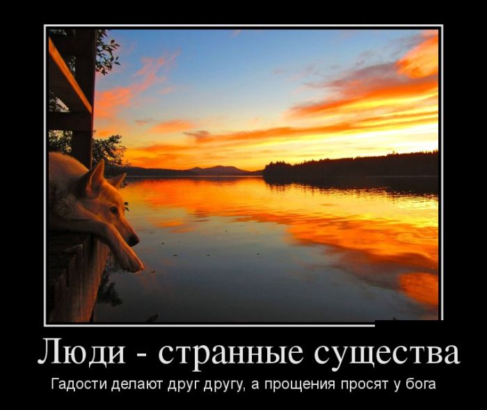 Демотиваторы (30 фото)