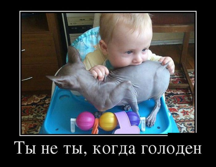 Демотиваторы (30 фото)