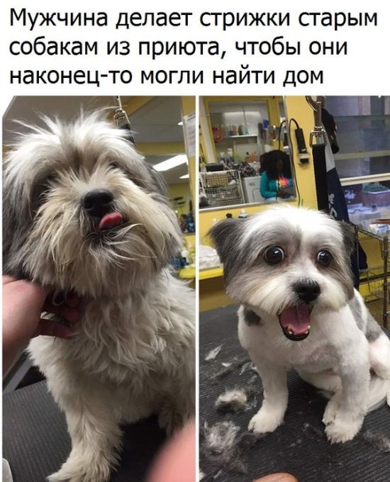 Прикольные картинки (53 фото)
