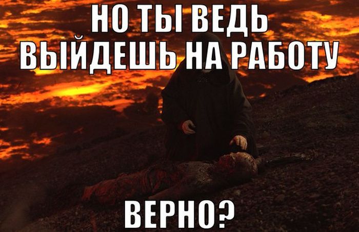Прикольные картинки (53 фото)