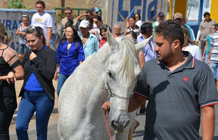 Душераздирающее фото: лошадь прощается со своим хозяином (5 фото)