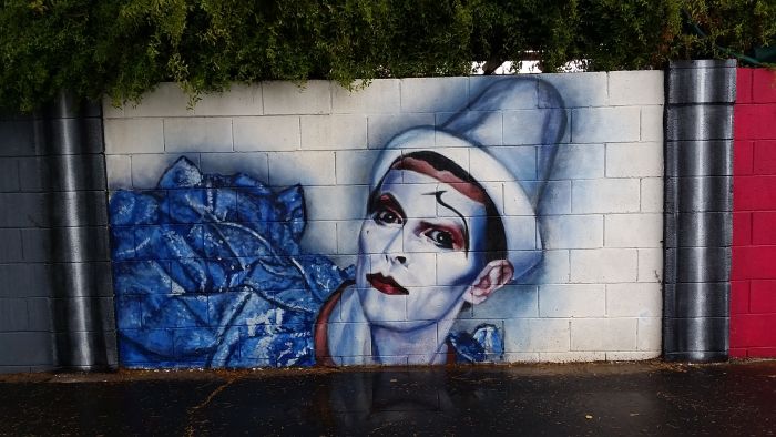 Стена памяти Дэвида Боуи в Аризоне (10 фото)