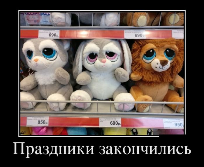 Демотиваторы (30 фото)