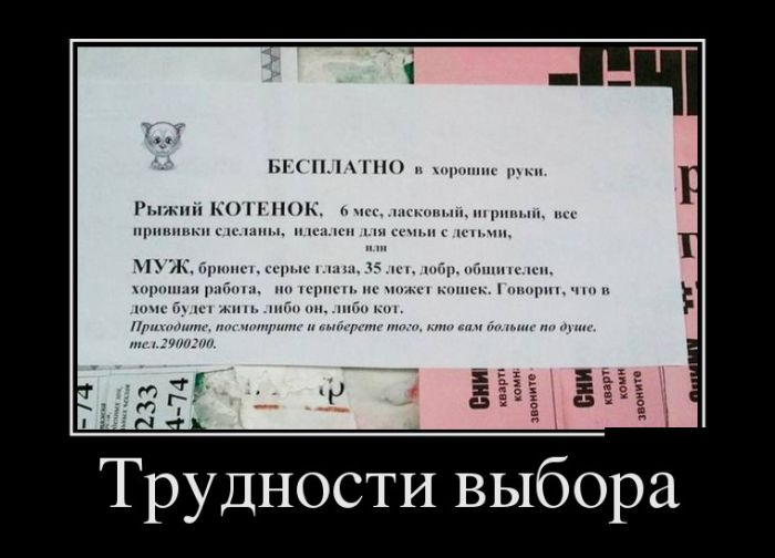 Демотиваторы (30 фото)
