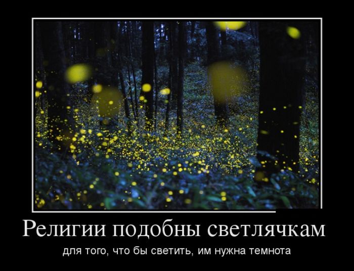 Демотиваторы (30 фото)