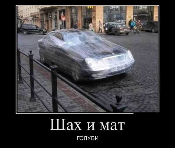 Демотиваторы (30 фото)
