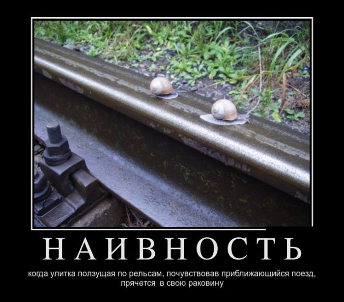 Демотиваторы (30 фото)