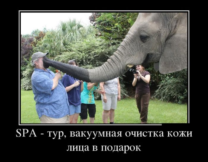 Демотиваторы (30 фото)