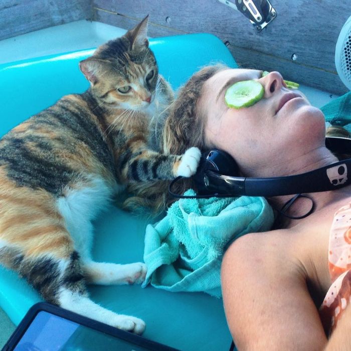 Американка путешествует на лодке с кошкой (10 фото)