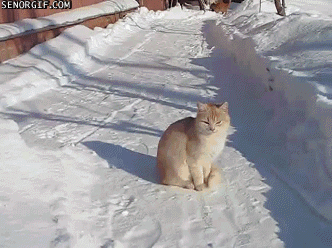 Классные гифки (25 гифок)