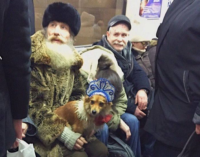Модники из российского метро (35 фото)