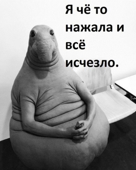 Новый мем «Ждун» стал героем шуток и фотожаб (11 фото)