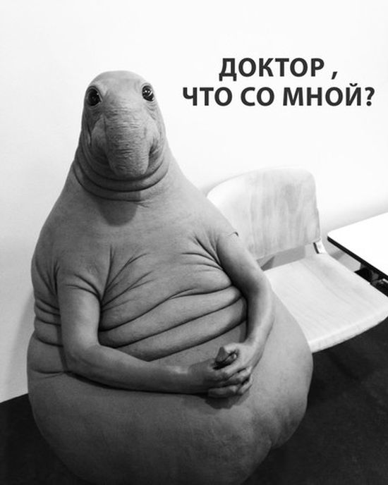 Новый мем «Ждун» стал героем шуток и фотожаб (11 фото)