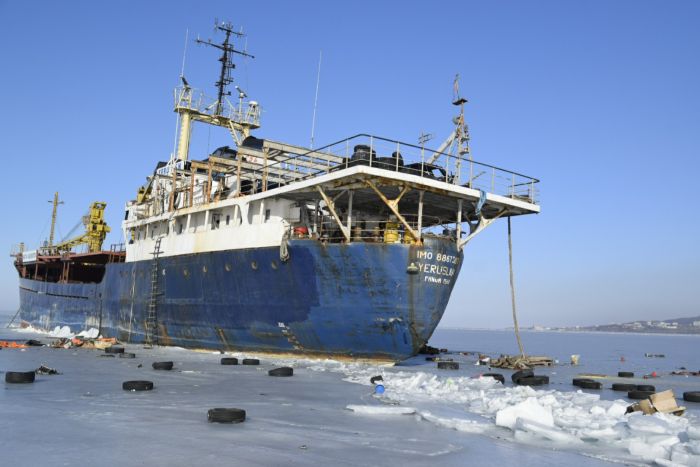 У Владивостока брошенный сухогруз вмерз в Амурский залив (7 фото)