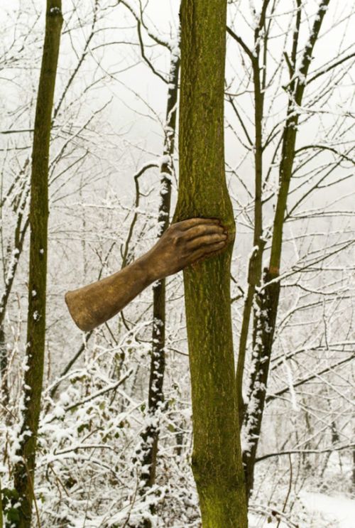 Скульптура в дереве (3 фото)