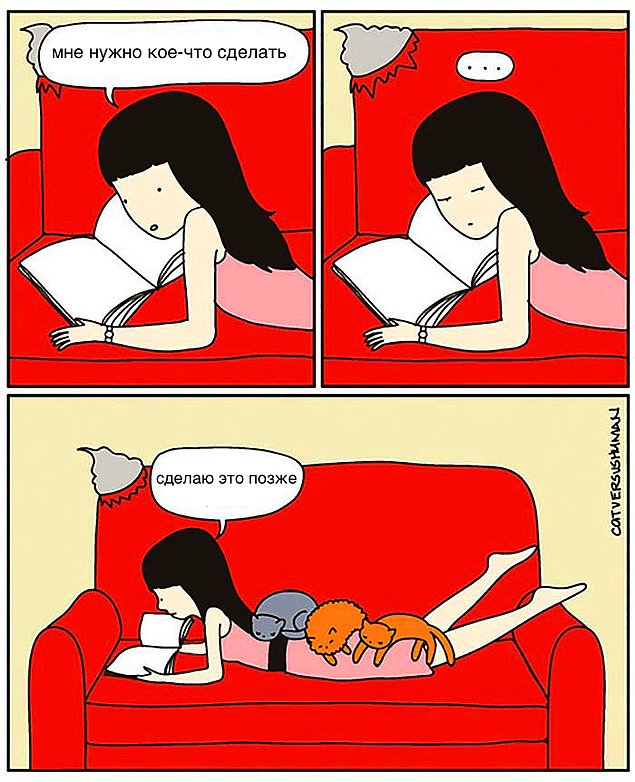 Проблемы жизни с котом в забавном комиксе (33 картинки)