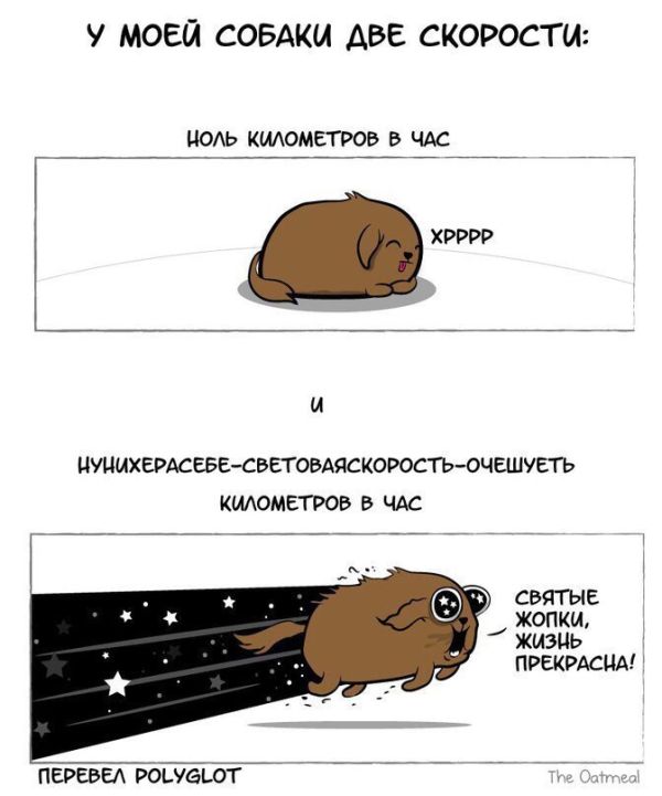 Смешные комиксы (20 картинок)