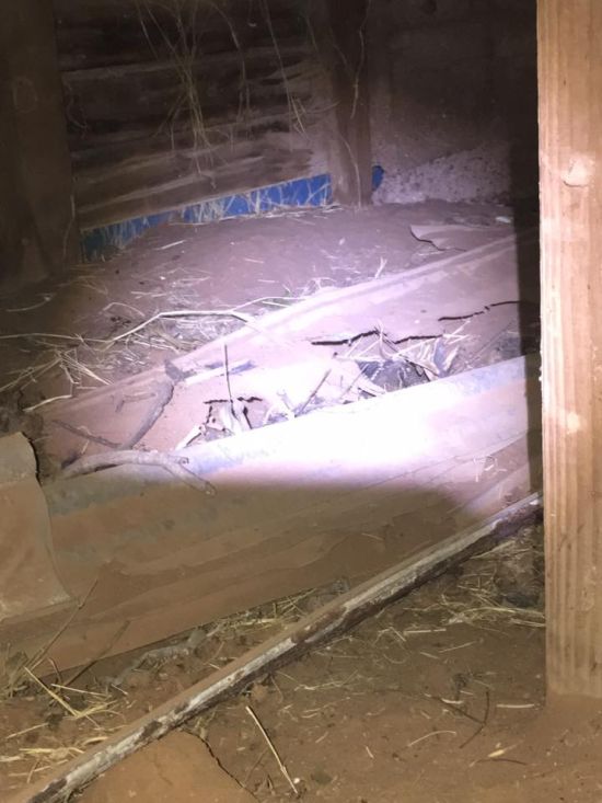 Житель Техаса обнаружил в своем доме змеиное логово (4 фото)