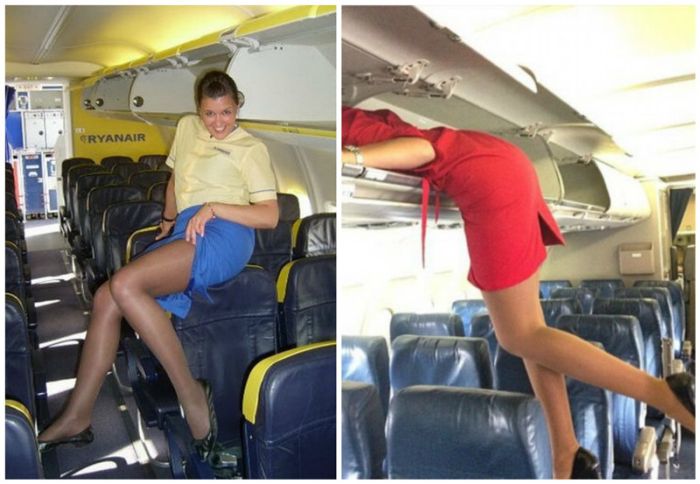 Прекрасные пассажирки и очаровательные стюардессы (14 фото)