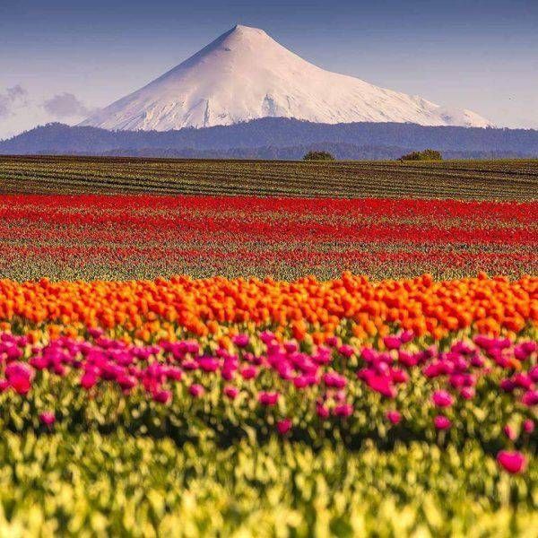 Прикольные картинки. Дневной выпуск (58 фото)