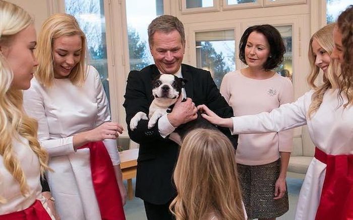 «Улыбчивая» собака президента Финляндии покоряет интернет (5 фото)