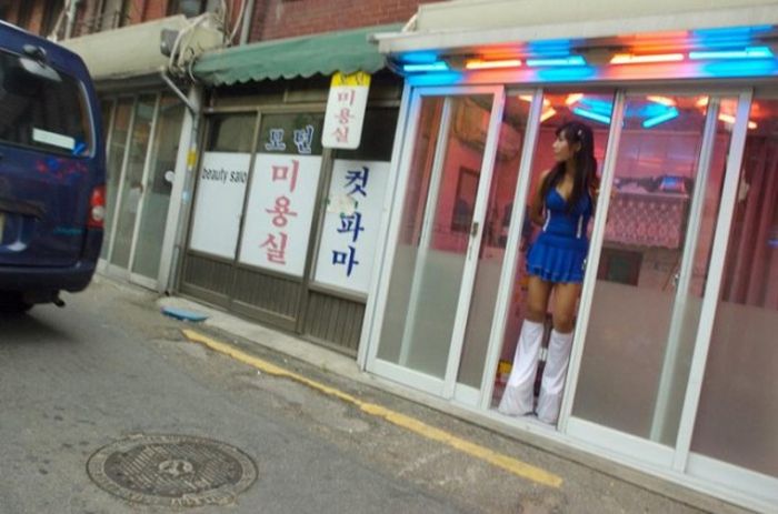 Чем отличаются девушки Северной и Южной Кореи (19 фото)