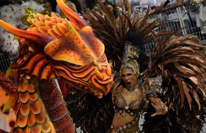 Девушки на карнавале в Рио-де-Жанейро (27 фото)