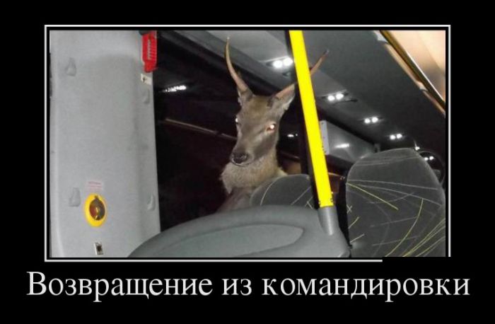 Демотиваторы (30 фото)