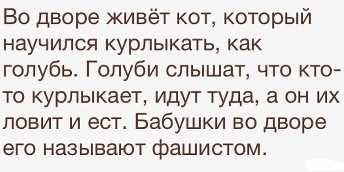 Прикольные картинки. Вечерний выпуск (73 фото)