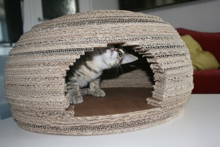 Кошачий домик иглу своими руками (10 фото)