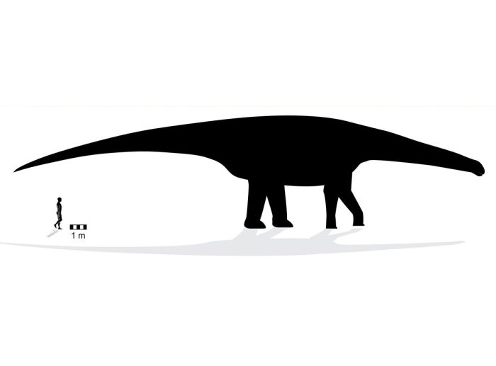 В Австралии обнаружили самый большой след динозавра (4 фото)