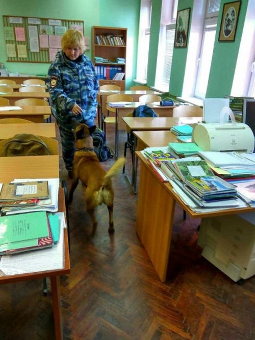 В Cестрорецке в ходе антинаркотического рейда школьников поставили лицом к стене (2 фото)