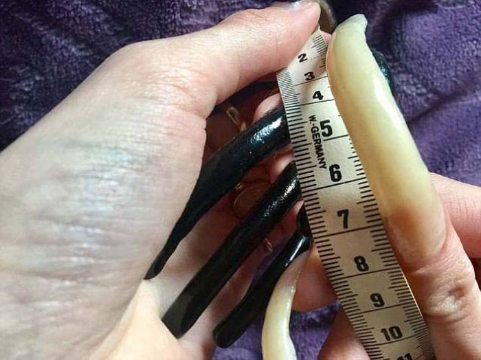 Девушка 3 года не стригла ногти, и вот что из этого вышло (21 фото)