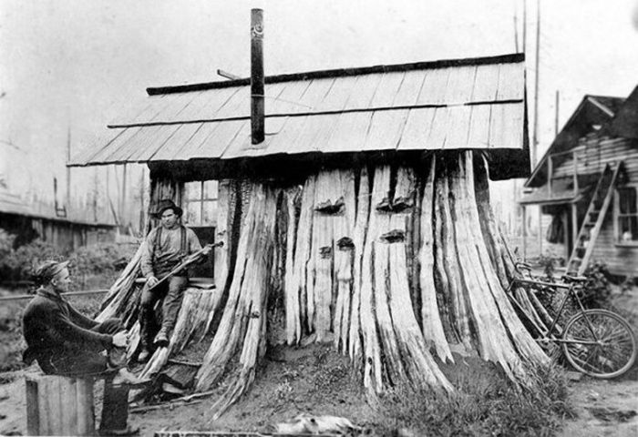 Дома-пни американских переселенцев XIX века (14 фото)