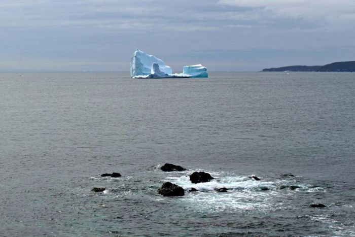 Парад айсбергов у канадского побережья (15 pics)