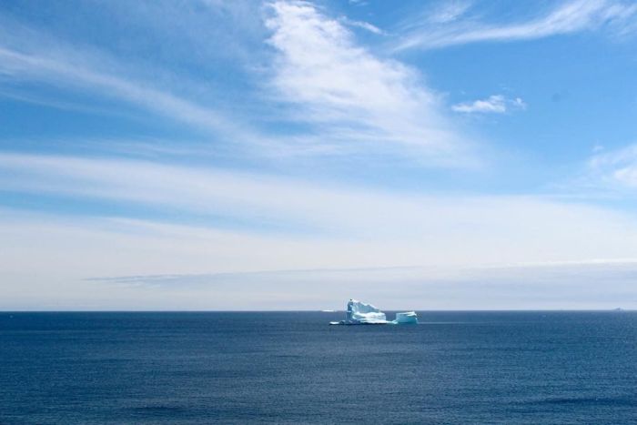 Парад айсбергов у канадского побережья (15 pics)