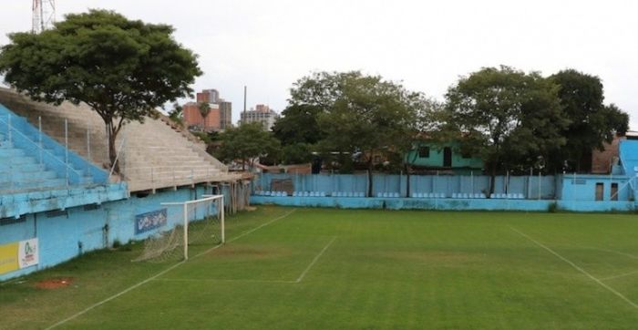 В Парагвае трибуну построили вокруг растущего на стадионе дерева (4 фото)