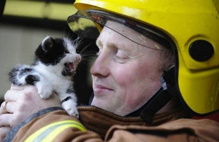 Пожарные и спасенные ими животные (47 фото)