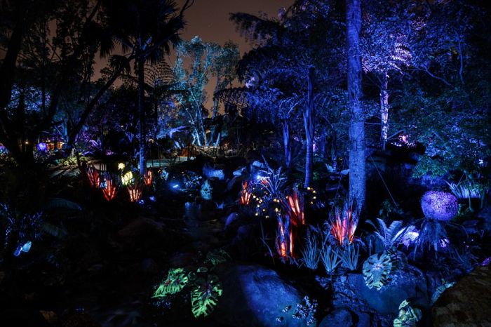 Тематический парк Pandora World of Avatar land в Disney World (20 фото)