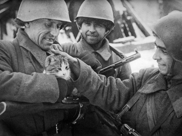 Самые известные фото Великой Отечественной войны (14 фото)