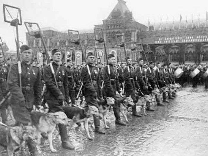 Интересные факты о параде Победы 24 июня 1945 года (12 фото)