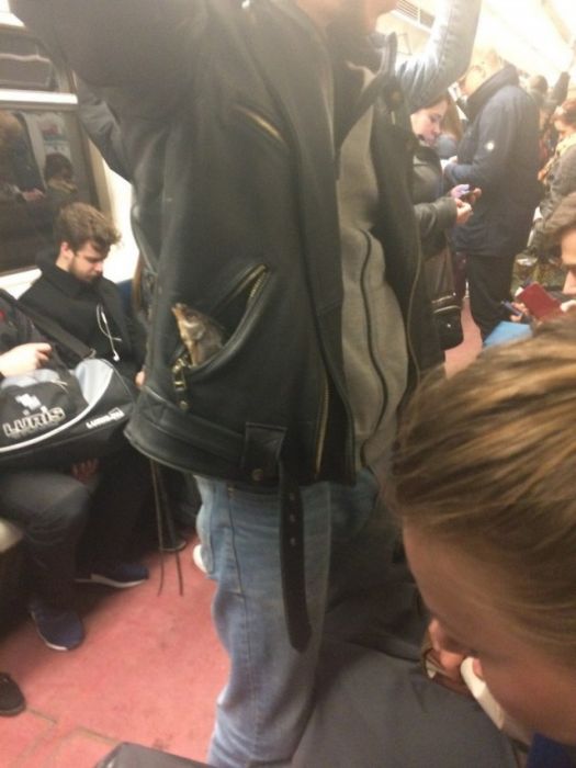 Странные пассажиры российского метро (33 фото)