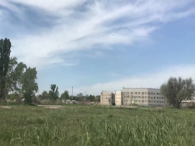 Комариные рои в Таганроге