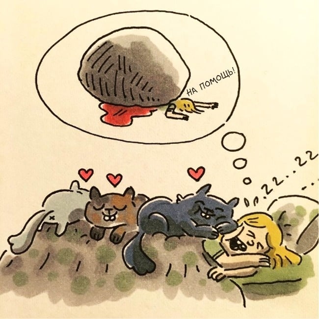 Смешные и правдивые комиксы о жизни с котом (15 картинок)