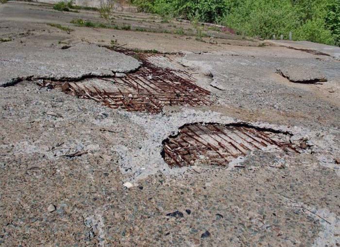 В Приморском крае из-за бездействия чиновников погибает озеро (12 фото)